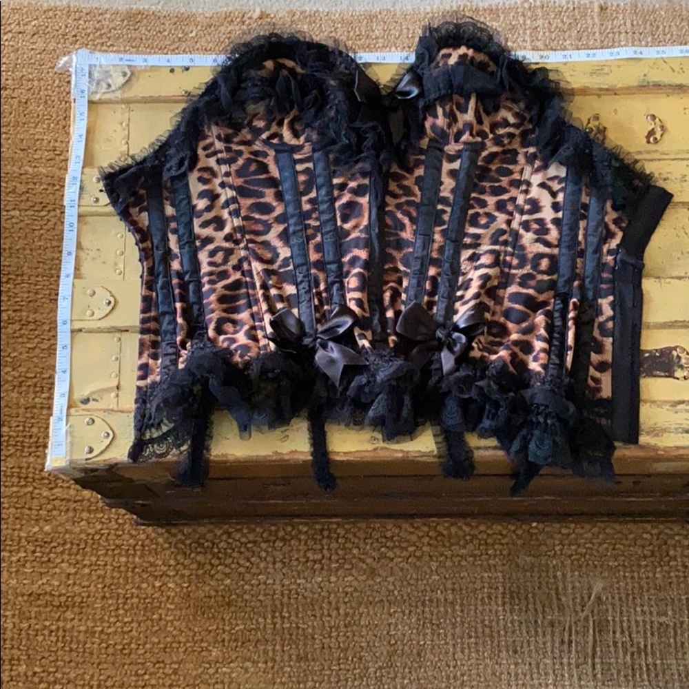 TRASHY LINGERIE LA BRAND BODYCON LEOPARD PRINT BUSTIER CORSET PUSH UP BRA 32C - Picture 3 of 15